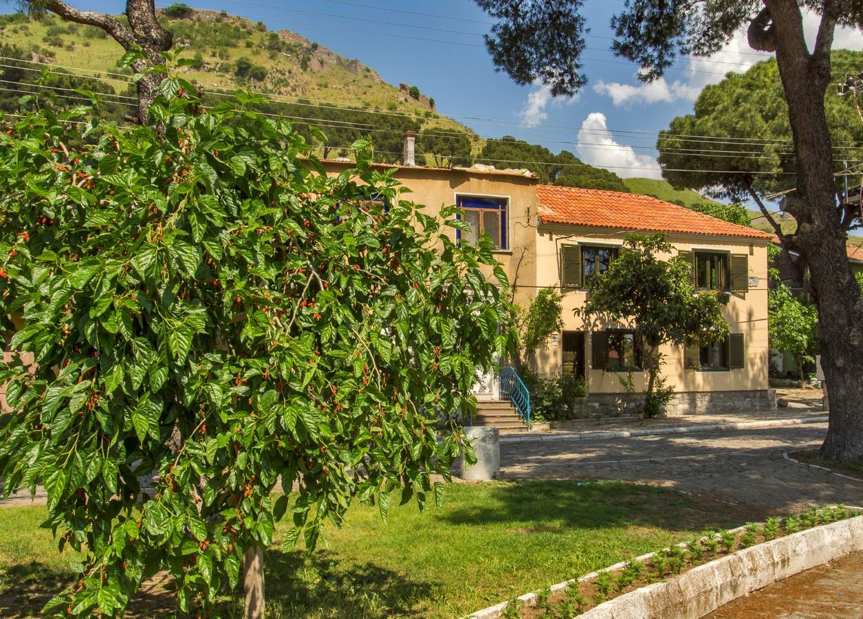 Elaia Hotel Bergama Eksteriør bilde